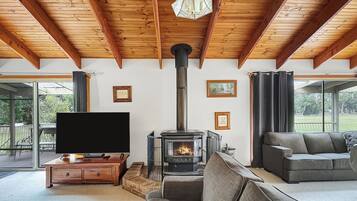 TV, fireplace, DVD player