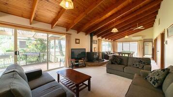 TV, fireplace, DVD player