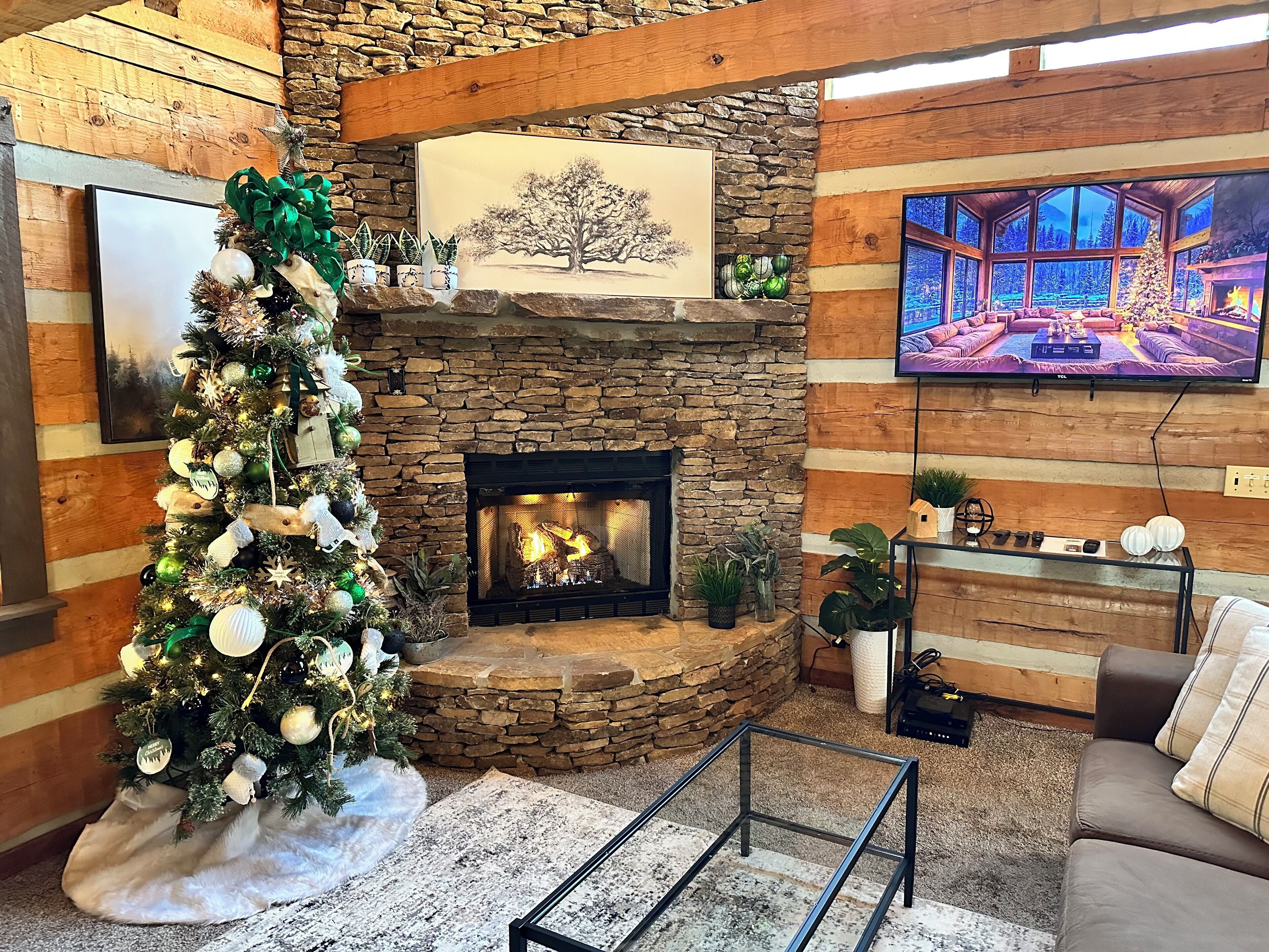 Flat-screen TV, fireplace, DVD player