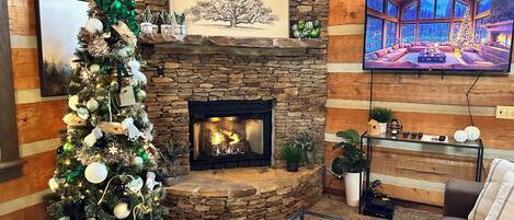 Flat-screen TV, fireplace, DVD player