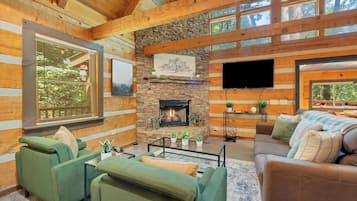 平板电视、壁炉、DVD 播放器