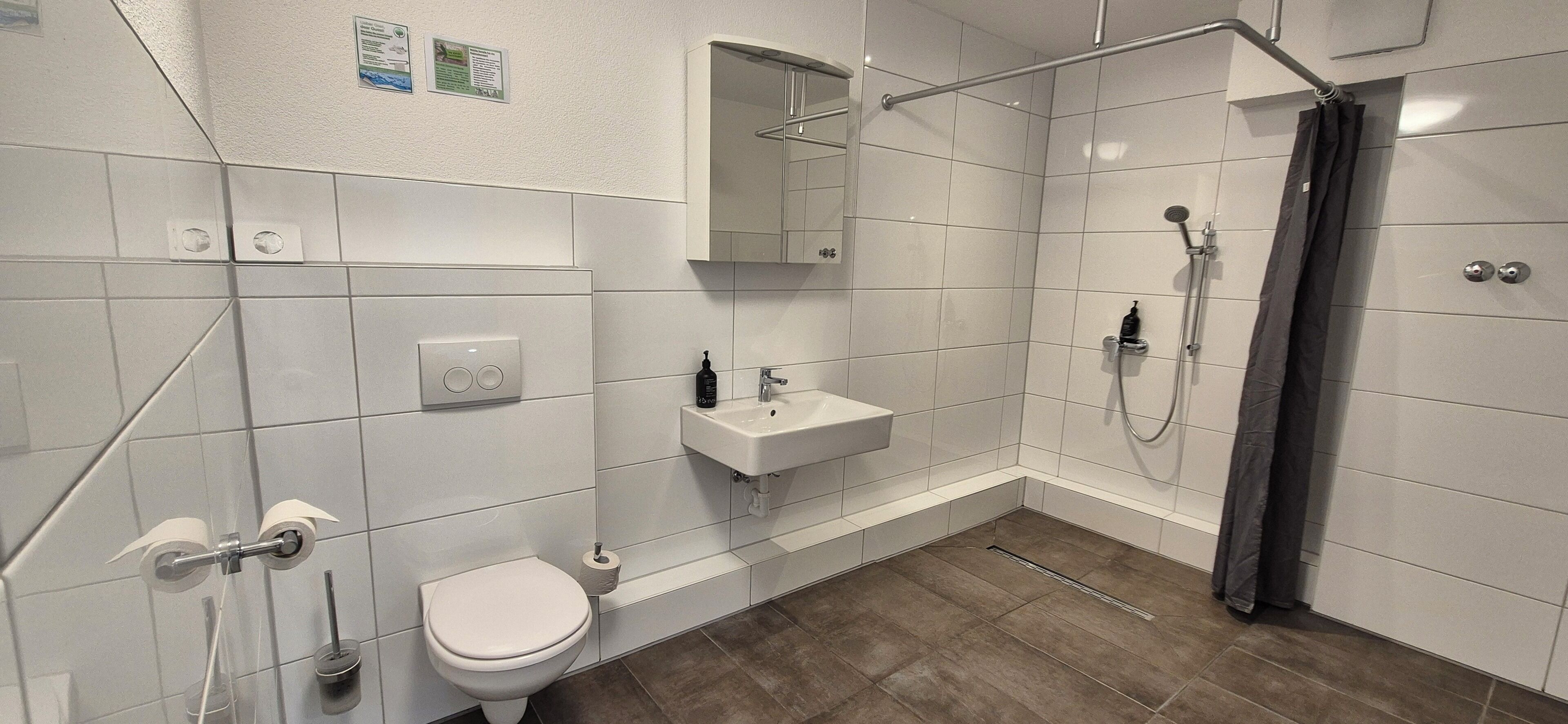 A bathroom with a toilet, sink, shower, and mirror.