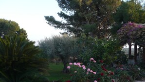 Un jardín con un sendero de piedra, plantas florecientes y árboles.
