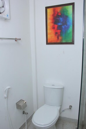 Shower, free toiletries, hair dryer, slippers