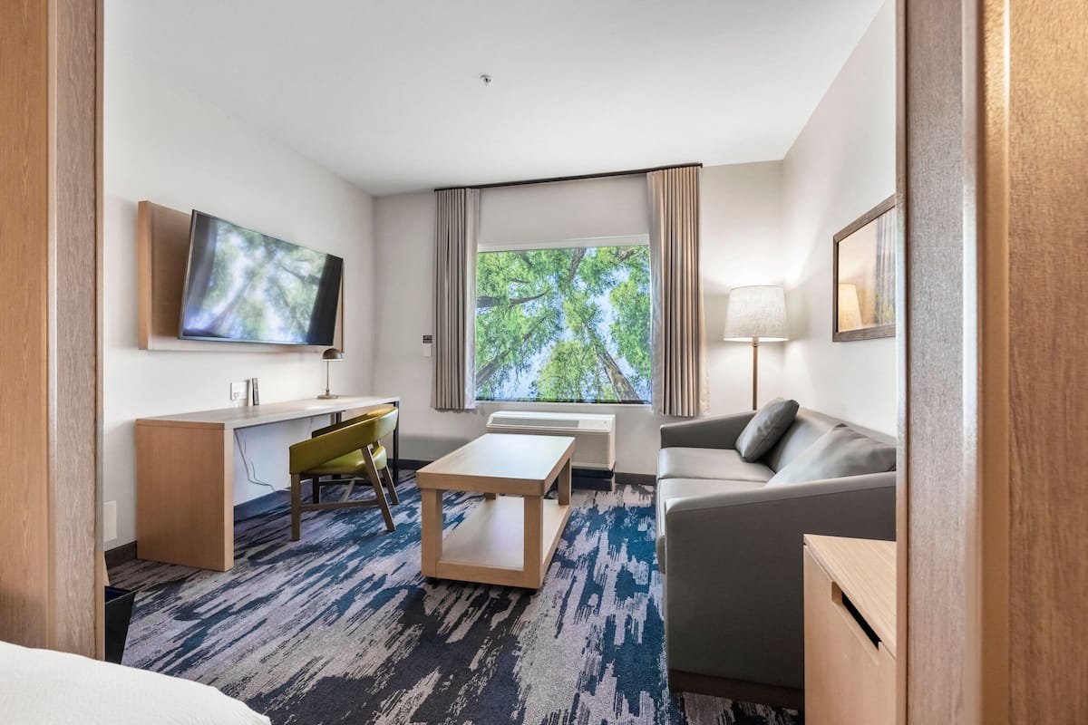Habitación de hotel con escritorio, sofá, televisión, ventana con vista a árboles y una lámpara.