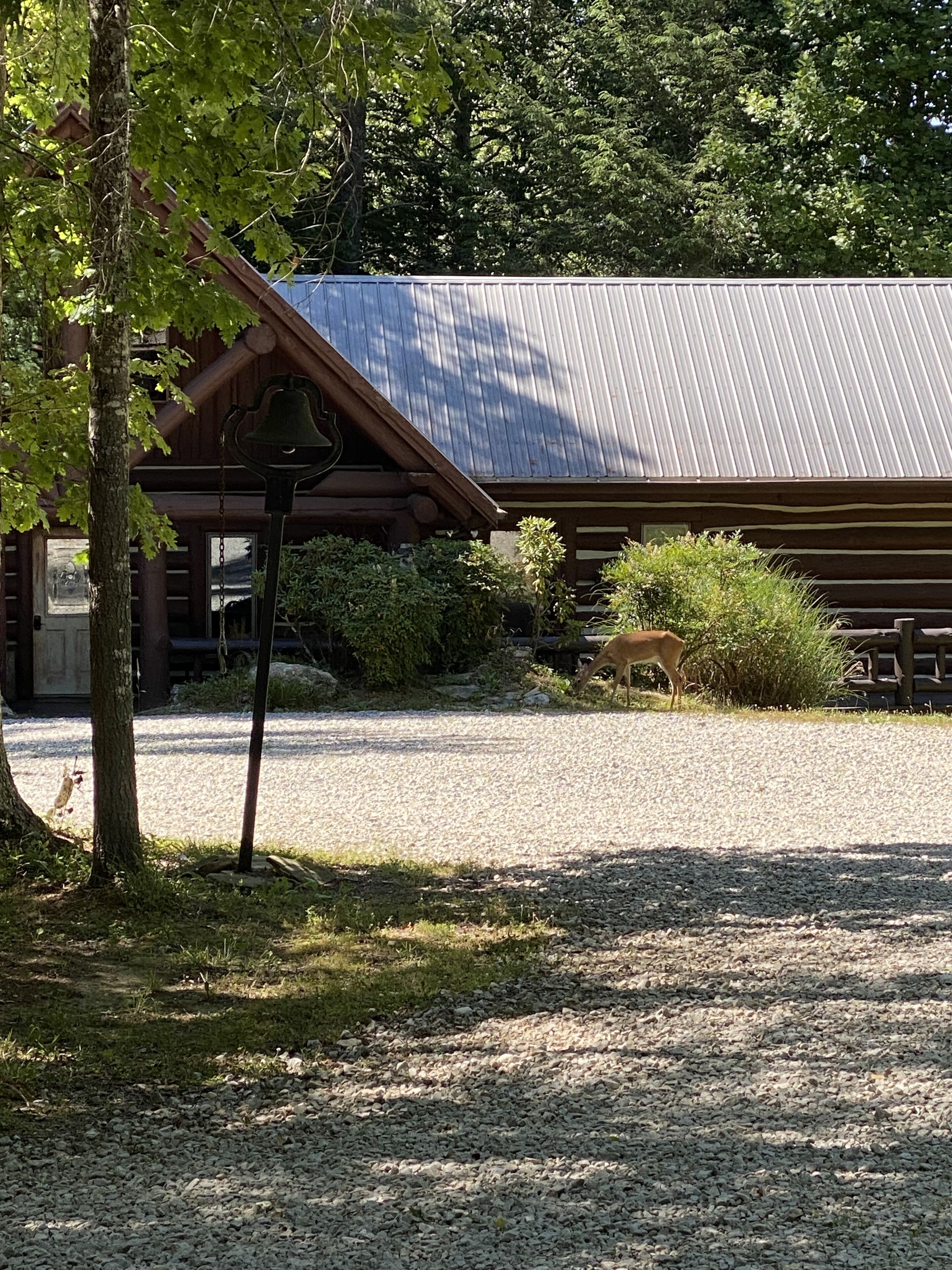 Log Cabin On The Rocks