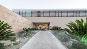 Un edificio moderno con fachada de vidrio y un paseo pavimentado bordeado de cactus y palmeras.