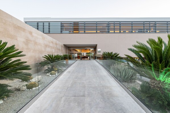 Un edificio moderno con fachada de vidrio y un paseo pavimentado bordeado de cactus y palmeras.