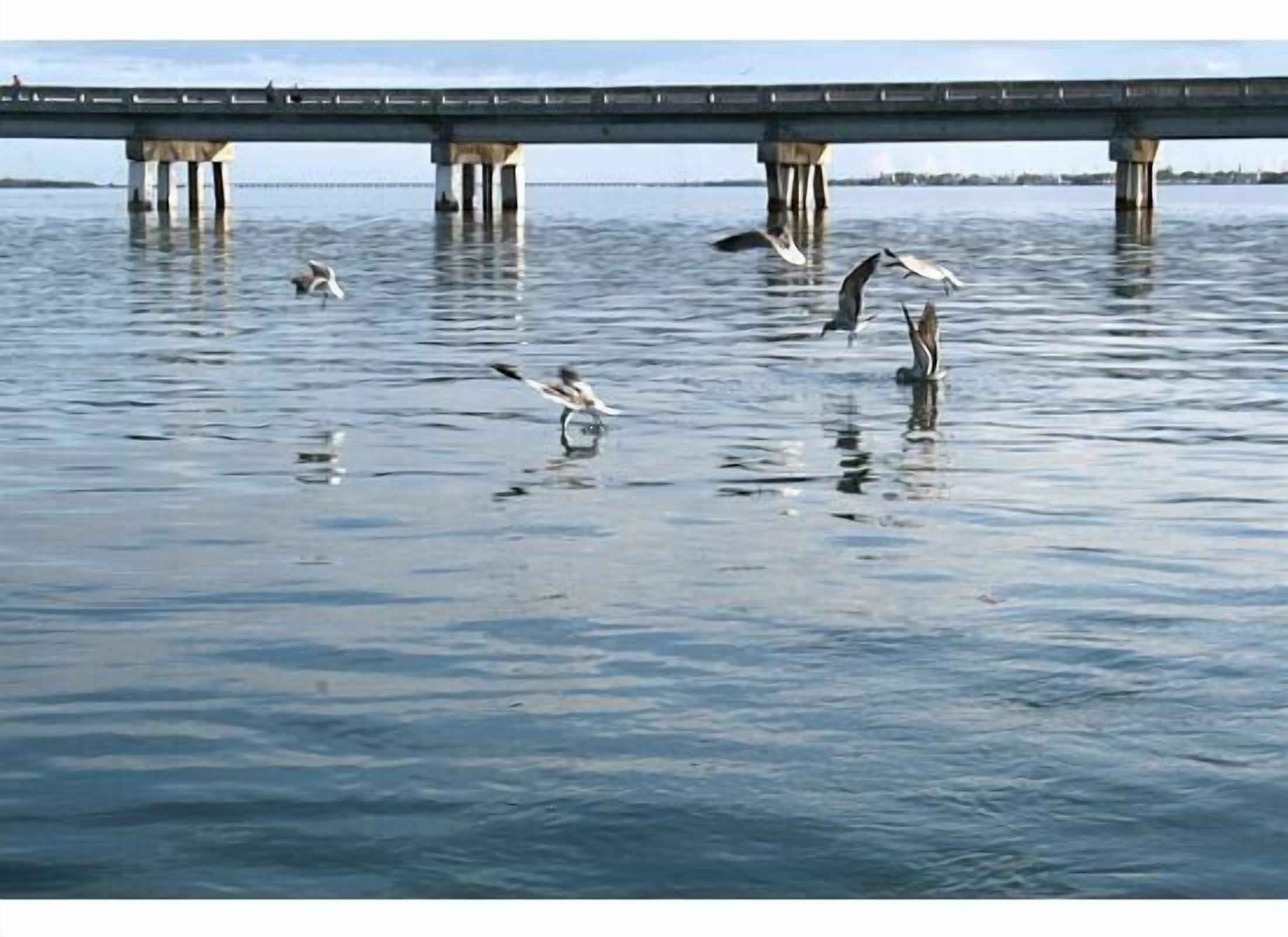 Big Pine Key Private vacation home