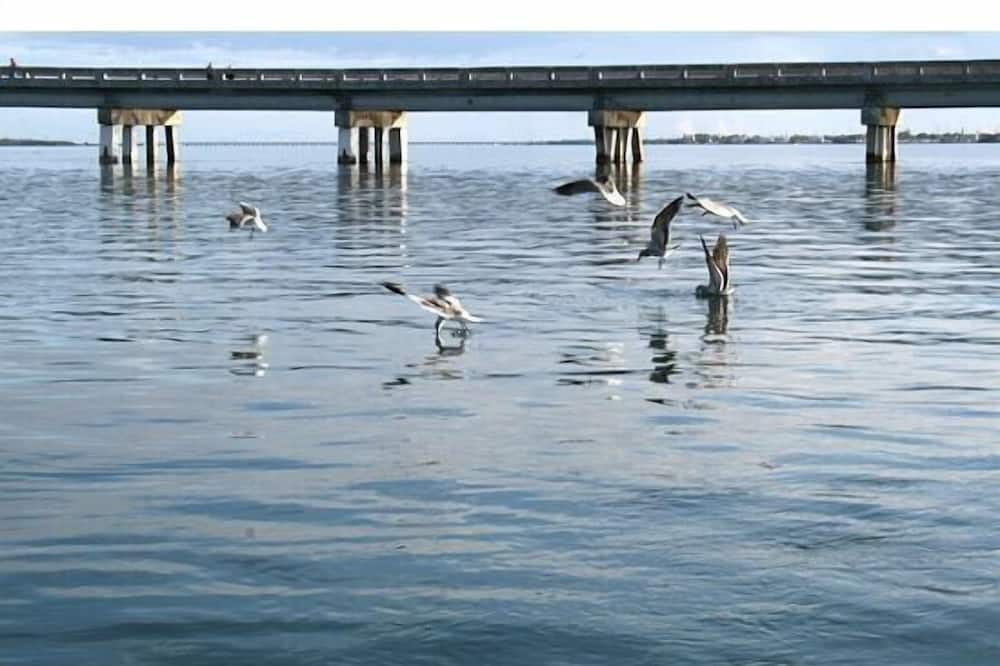 Big Pine Key Private vacation home