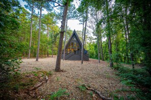Escape to a secluded forest retreat with a cozy cabin nestled among the trees.