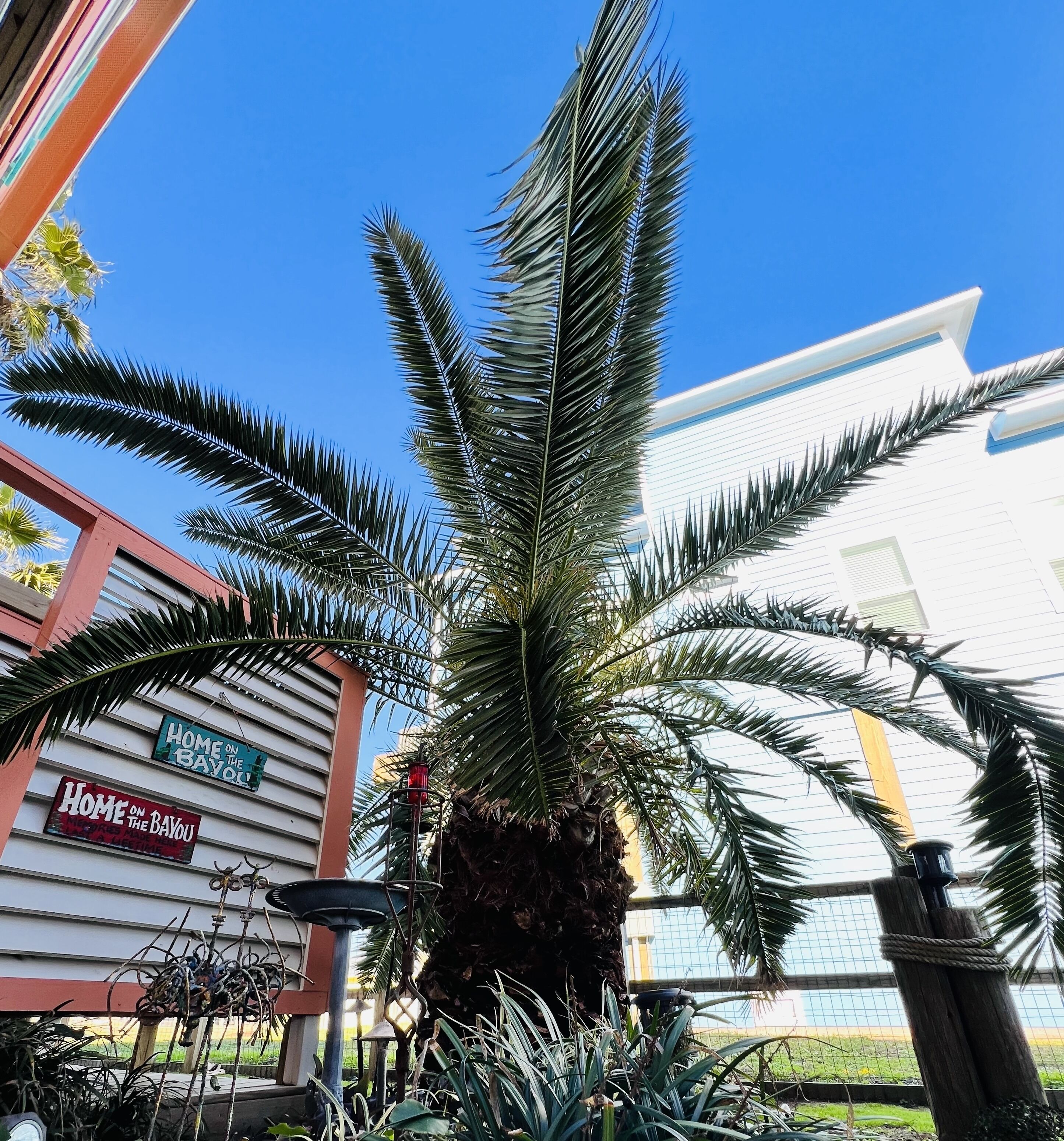 Enceinte de l’hébergement