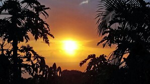 Ein Sonnenuntergang mit Palmen im Schatten und wolkenlosem Himmel.