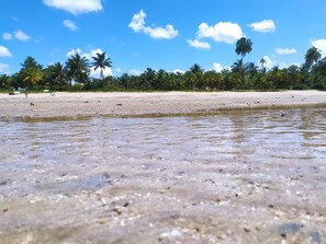 Playa en los alrededores 