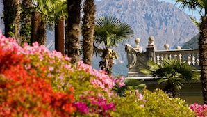 Un jardin agrémenté de palmiers et de fleurs roses, une balustrade en pierre et une montagne en arrière-plan.
