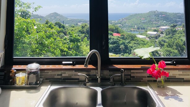 Interior -  2-bedroom-ocean & St Croix views-5 minutes to Cruz Bay (Cruz Bay)