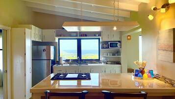 Full-size fridge, microwave, oven, stovetop
