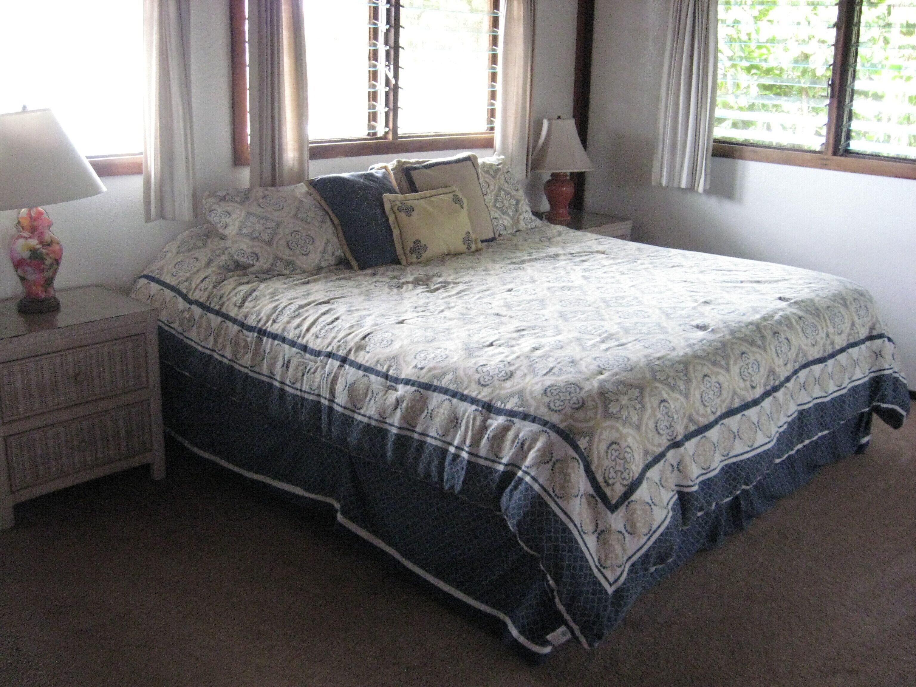 Oceanfront Sunny Westside TVRNCU- #1094