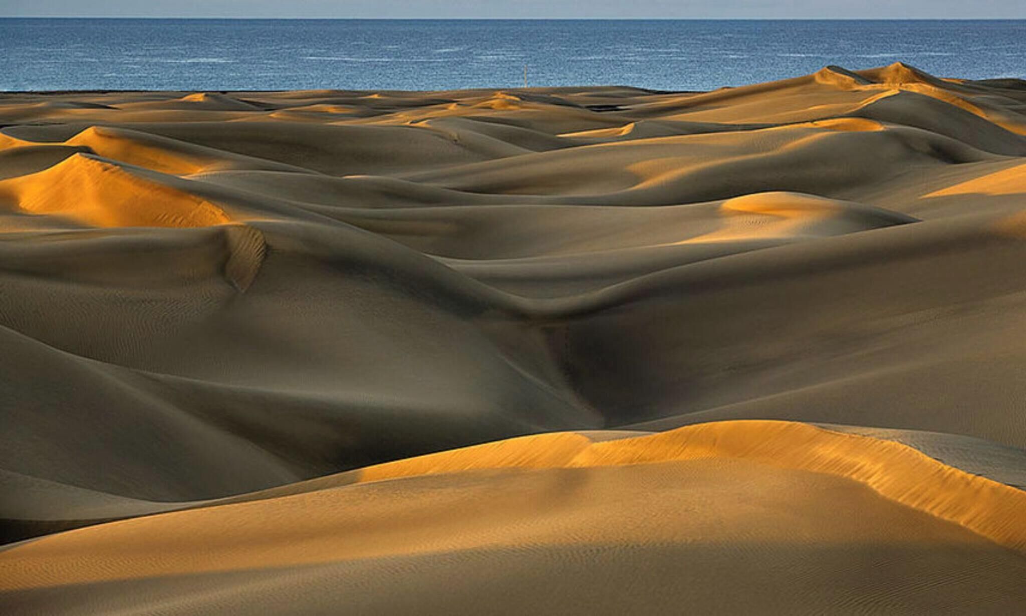 A desert landscape with undulating sand dunes and a distant view of the ocean.