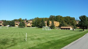 Sports court - Clean and Cozy, Beautiful, well kept Trout Creek Condominium Unit 79 Building 11 (Harbor Springs)