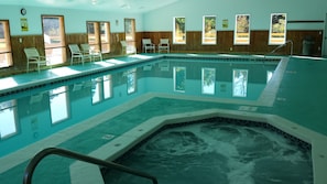 Indoor pool, outdoor pool - Clean and Cozy, Beautiful, well kept Trout Creek Condominium (Harbor Springs)