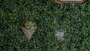Ein Zimmer mit einer grünen Wand aus Blättern, einem Holzkabinett mit Spiegel und zwei geometrisch geformten Pflanzgefäßen.
