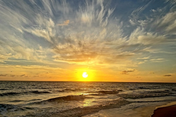 Sun-loungers, beach towels