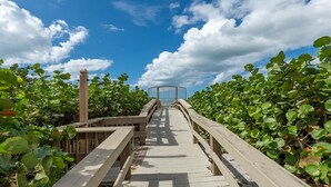 A wooden boardwalk leading to a circular structure surrounded by lush greenery.