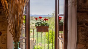 A balcony with a view of a rural landscape, a potted plant with red flowers, and a tall vase with dried reeds.
