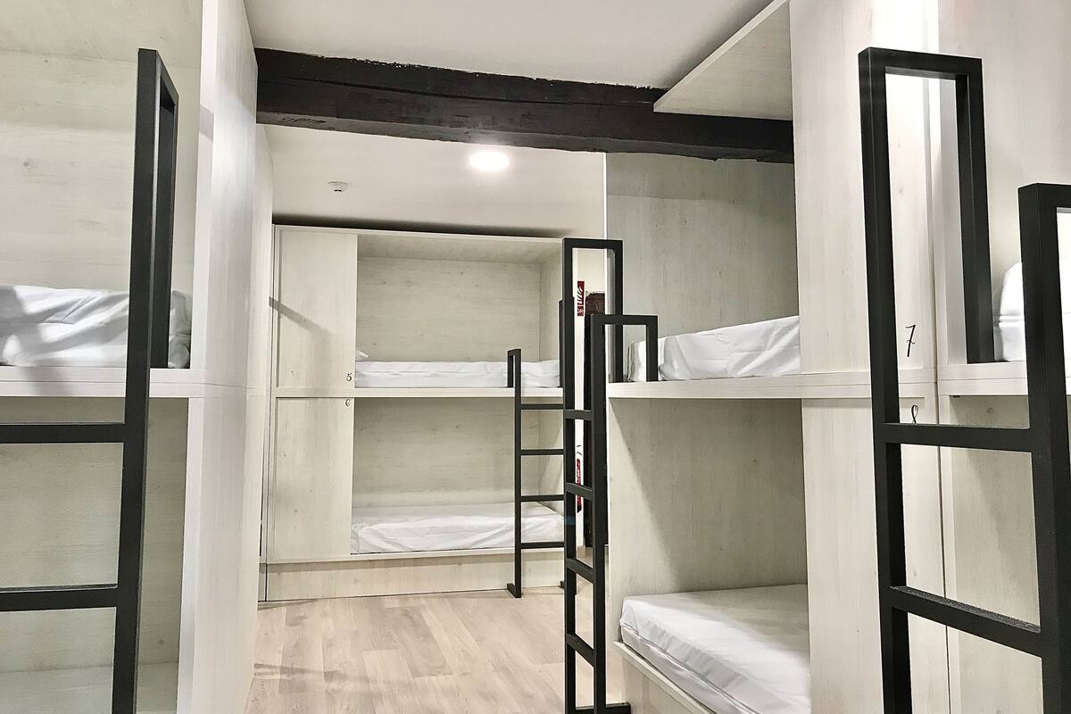 A dormitory room with bunk beds, a ladder, and a white ceiling.