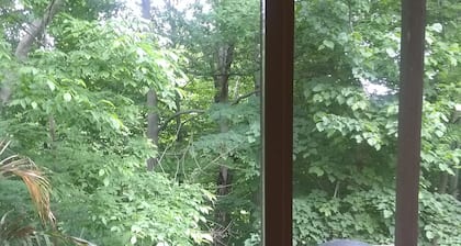 a Relax and Quiet Place, View to the Forest