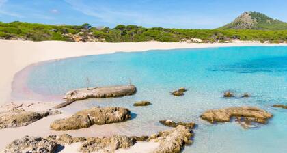 Parque Nereida Suites Hotel