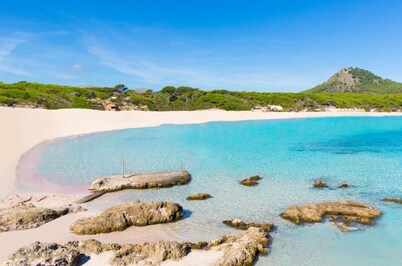 帕尔克奈雷达套房酒店