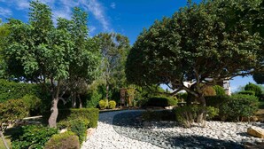 A garden with a gravel path, various trees, and a pergola. - Villa 64 Anarita - Three Bedroom Villa, Sleeps 6 (Kouklia)