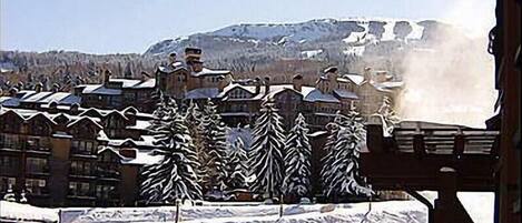 Apartment, 1 King-Bett (120 Carriage Way) | Unterkunftsgelände