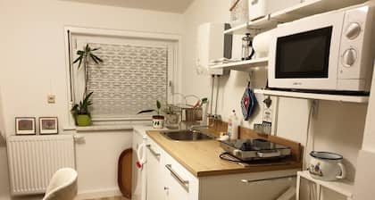 Vacation apartment with a view of Erfurt
