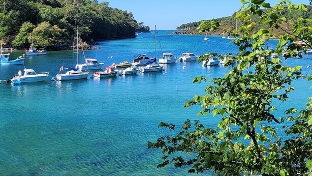 A marina with boats docked, surrounded by lush greenery and clear blue water. - Villa 12 persons SEA VIEW with CHIMNEY and SAUNA 500m BEACH (Clohars-Carnoët)