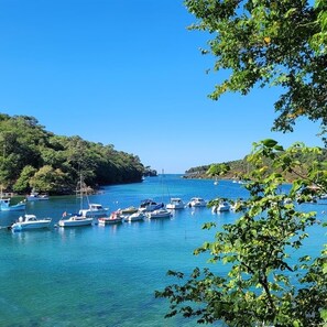 Marina con barcos amarrados, rodeada de exuberante follaje y agua cristalina azul.