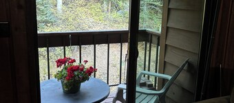 Golden Nugget - cozy 2 bedroom condo wood fireplace -free wifi - fully equipped 