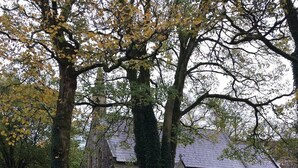 A historic stone church with a stone wall in front, surrounded by trees and autumn leaves. - Bluebell Cottage, Characterful Cottage in the Yorkshire Dales (Langcliffe)