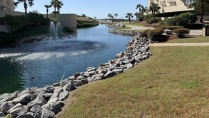 A water feature with a fountain, surrounded by a stone border, with buildings and palm trees in the background.