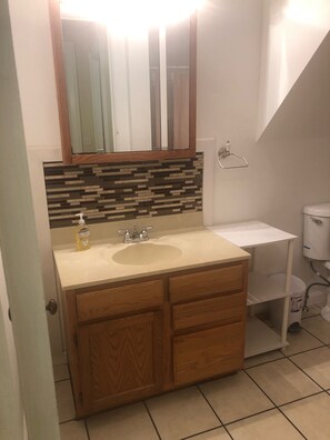 Combined shower/tub, hair dryer, toilet paper