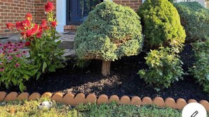 A well-maintained garden with various shrubs and flowering plants in front of a brick building. - Comfy Blue Studio with Great Amenities (Washington)