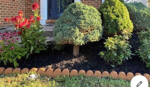 Property grounds - Comfy Blue Studio with Great Amenities (Washington)