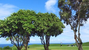 Un campo da golf con erba verde rigogliosa, alberi imponenti e vista libera sull'oceano.