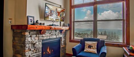 Televisión y chimenea