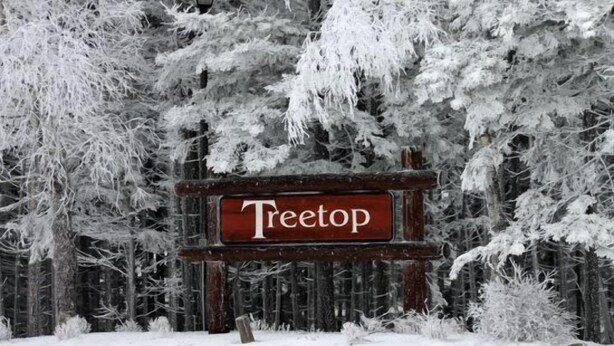 Ein hölzernes Schild mit dem Wort 'Treetop' in weißen Buchstaben vor rotem Hintergrund, umgeben von schneebedeckten Bäumen.