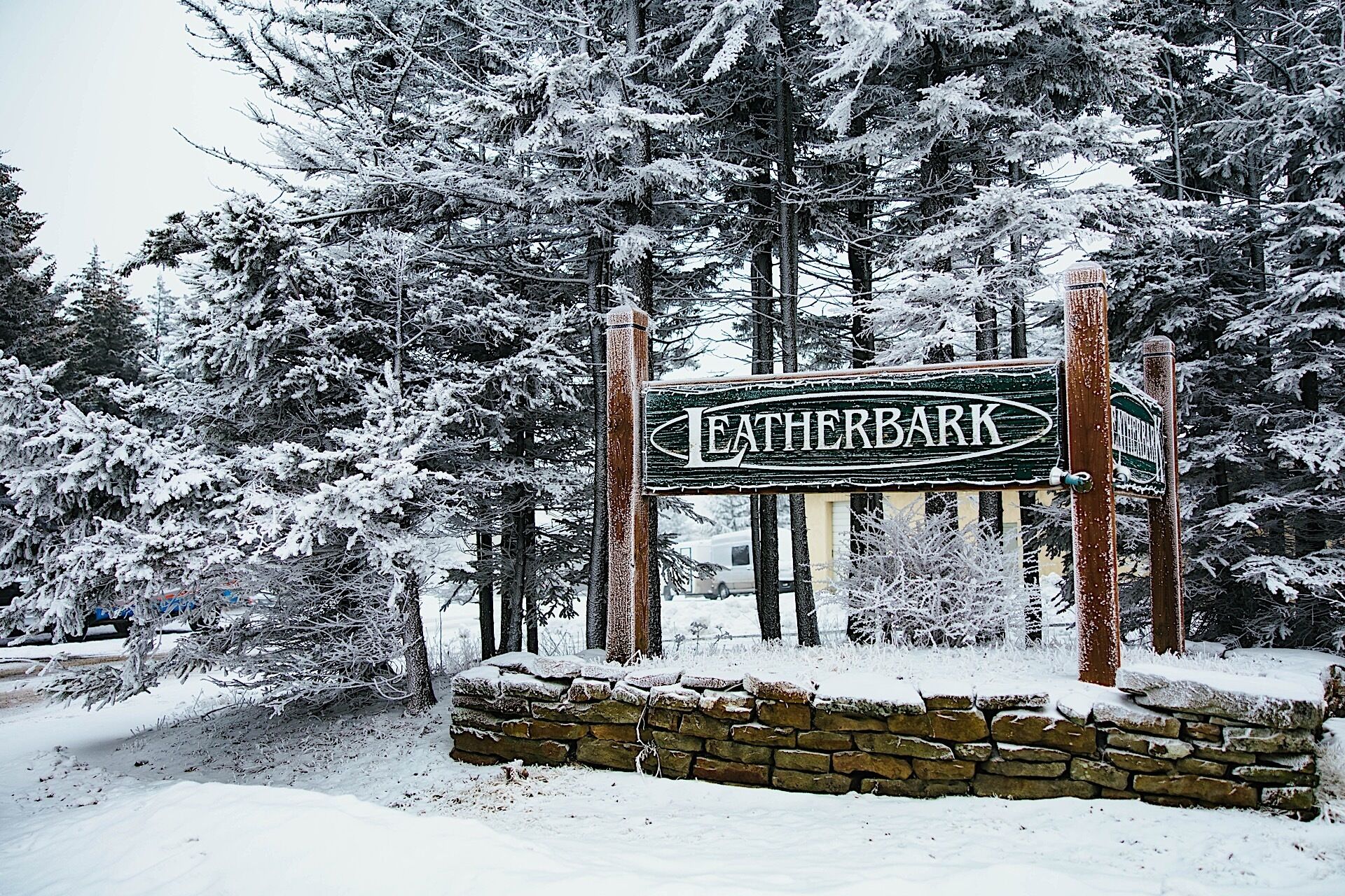 A snow-covered sign with the text "LEATHERBARK" in a rustic style, surrounded by tall evergreen trees and a stone wall.