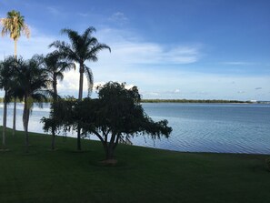 Sun-loungers, beach towels