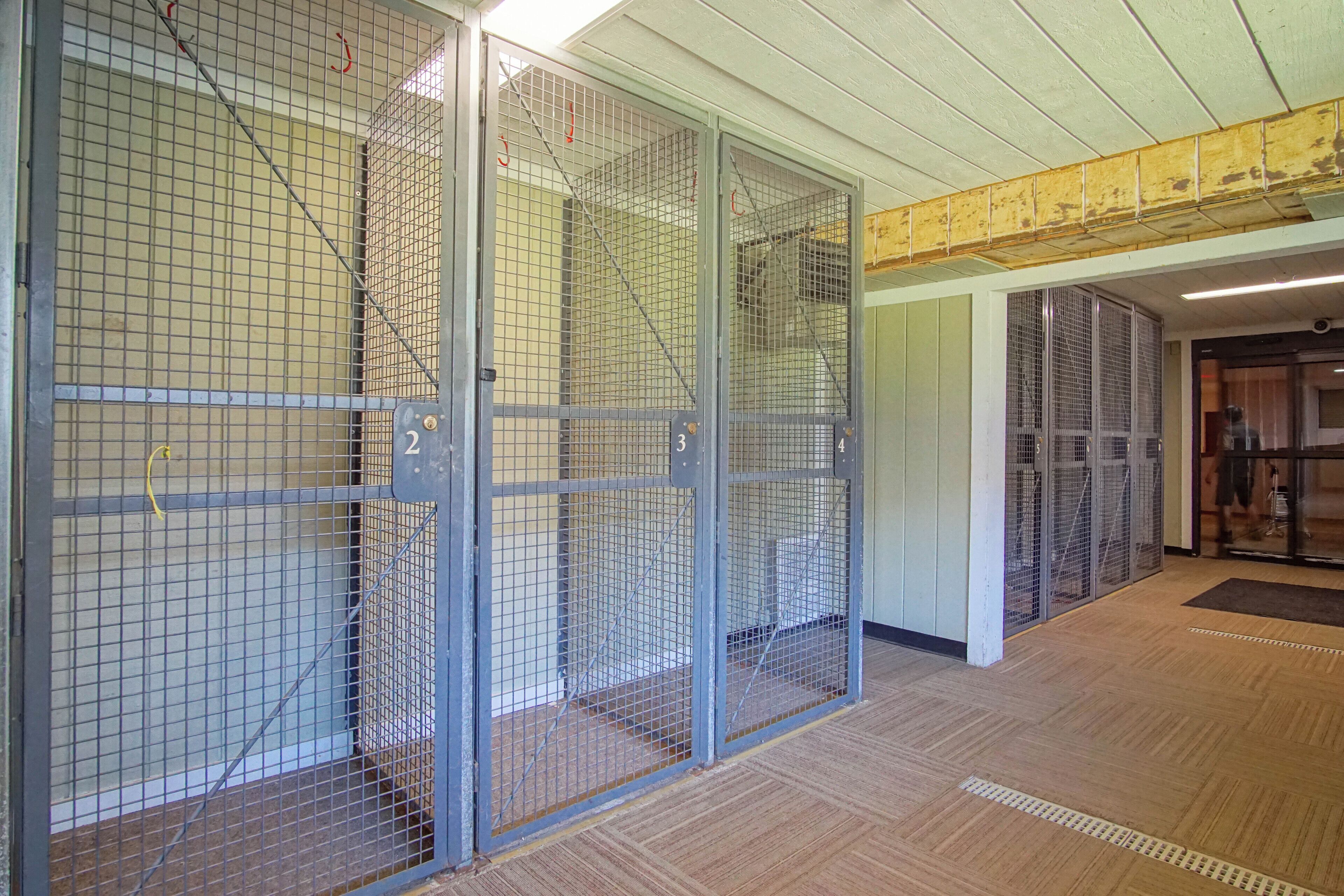 A row of metal storage lockers with numbered doors, a wooden floor, and a yellow-painted ceiling.